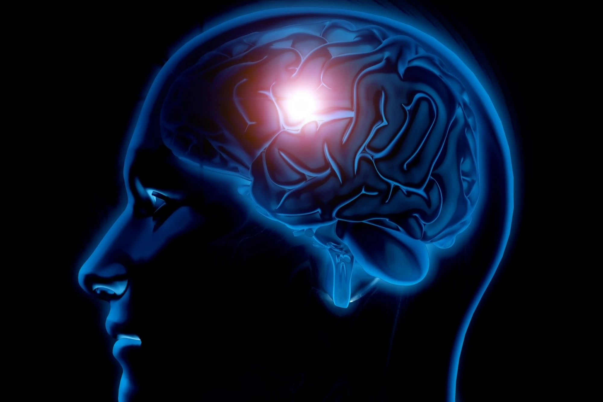 Neuroplasticity: Plastisitas Otak Manusia